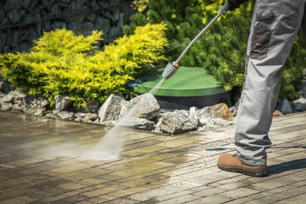 Pre-Holiday Cleaning in Ellisburg, NJ