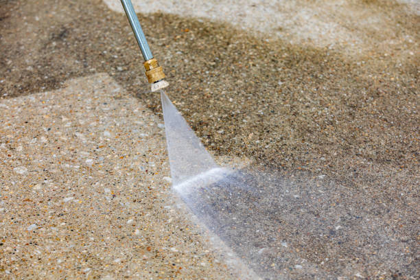 Best Sidewalk and Walkway Cleaning  in Ellisburg, NJ